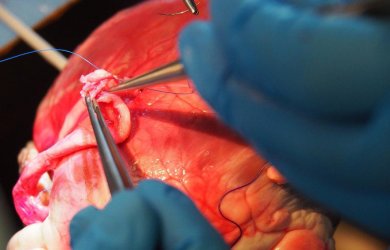 Образовательный центр WETLAB |