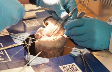 В WETLAB прошёл курс Основы кардиохирургии. Протезирование клапанов сердца и аорты Образовательный центр WETLAB | В WETLAB прошёл курс Основы кардиохирургии. Протезирование клапанов сердца и аорты