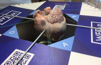 В WETLAB прошла подготовка к курсам по кардиохирургии Образовательный центр WETLAB | В WETLAB прошла подготовка к курсам по кардиохирургии