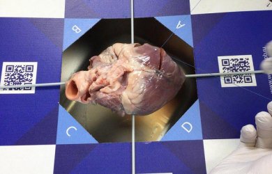 В WETLAB прошла подготовка к курсам по кардиохирургии Образовательный центр WETLAB | В WETLAB прошла подготовка к курсам по кардиохирургии