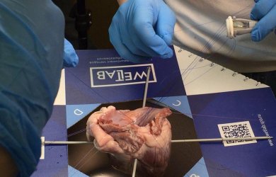 В WETLAB прошла подготовка к курсам по кардиохирургии Образовательный центр WETLAB | В WETLAB прошла подготовка к курсам по кардиохирургии