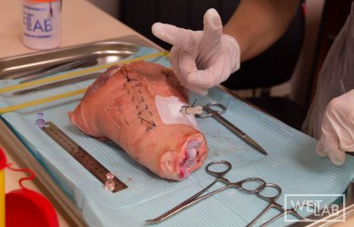 В WETLAB прошел очередной курс Стартовые хирургические манипуляции Образовательный центр WETLAB | В WETLAB прошел очередной курс Стартовые хирургические манипуляции