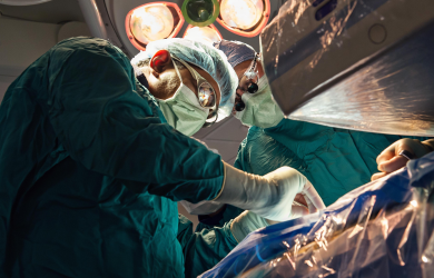 Образовательный центр WETLAB | Виды лоскутов на питающих ножках и область их применения