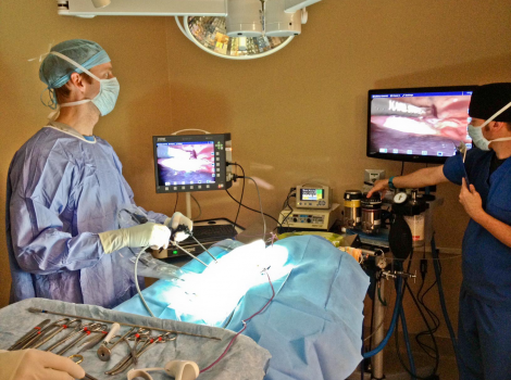 Образовательный центр WETLAB | Diagnostic laparoscopy with analysis of anatomical structures