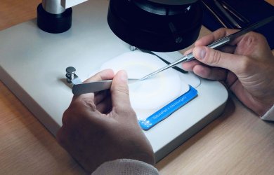 Микрососудистые анастомозы - WETLAB Образовательный центр WETLAB | Микрососудистые анастомозы - WETLAB