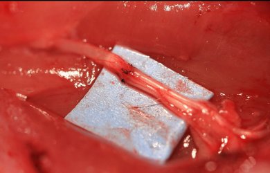 Образовательный центр WETLAB | Швы артерий и вен в микрохирургии