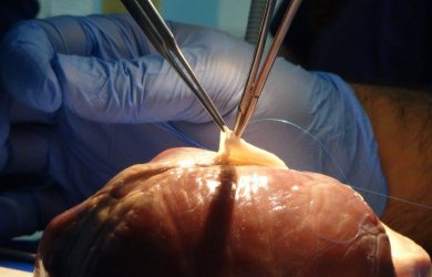 Образовательный центр WETLAB | 