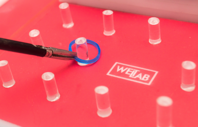 Интенсивный курс: Основы лапароскопии Образовательный центр WETLAB | Интенсивный курс: Основы лапароскопии
