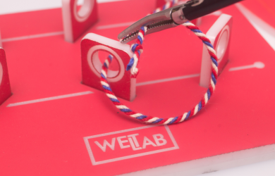 Интенсивный курс: Основы лапароскопии Образовательный центр WETLAB | Интенсивный курс: Основы лапароскопии