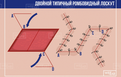 Базовый модуль по пластической хирургии Образовательный центр WETLAB | Базовый модуль по пластической хирургии
