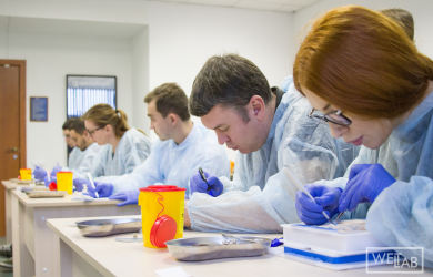 Базовый модуль по пластической хирургии Образовательный центр WETLAB | Базовый модуль по пластической хирургии