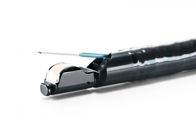 Echo endoscopy with puncture needle Образовательный центр WETLAB | Echo endoscopy with puncture needle
