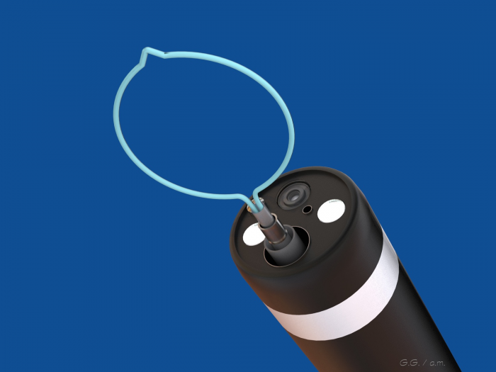 Endoscopic loop for polypectomy WETLAB