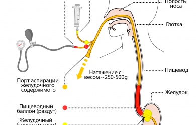 Образовательный центр WETLAB |